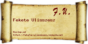 Fekete Ulisszesz névjegykártya